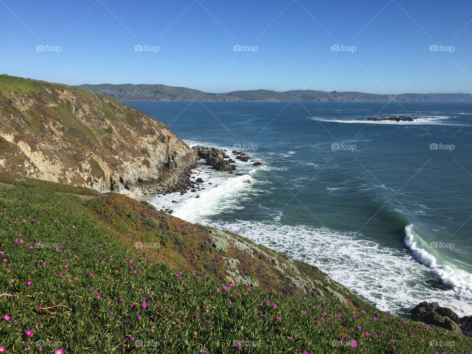 Bodega bay ocean view