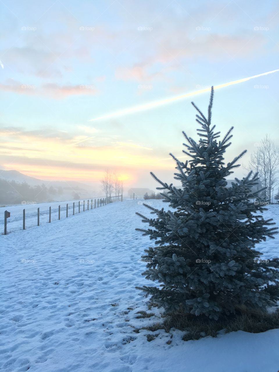 Frosty Montana Sunrise