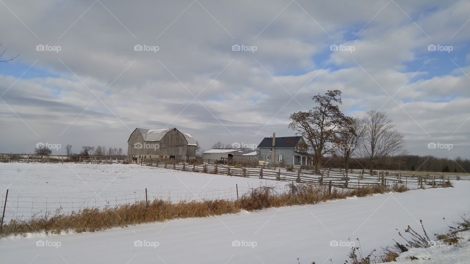 winter farm 5