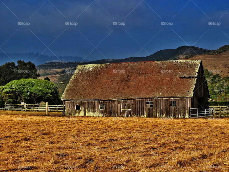 Old barn in California