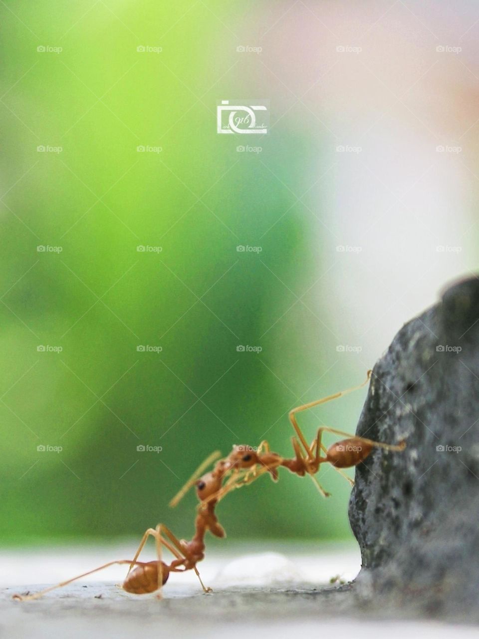 Love in every where 💗