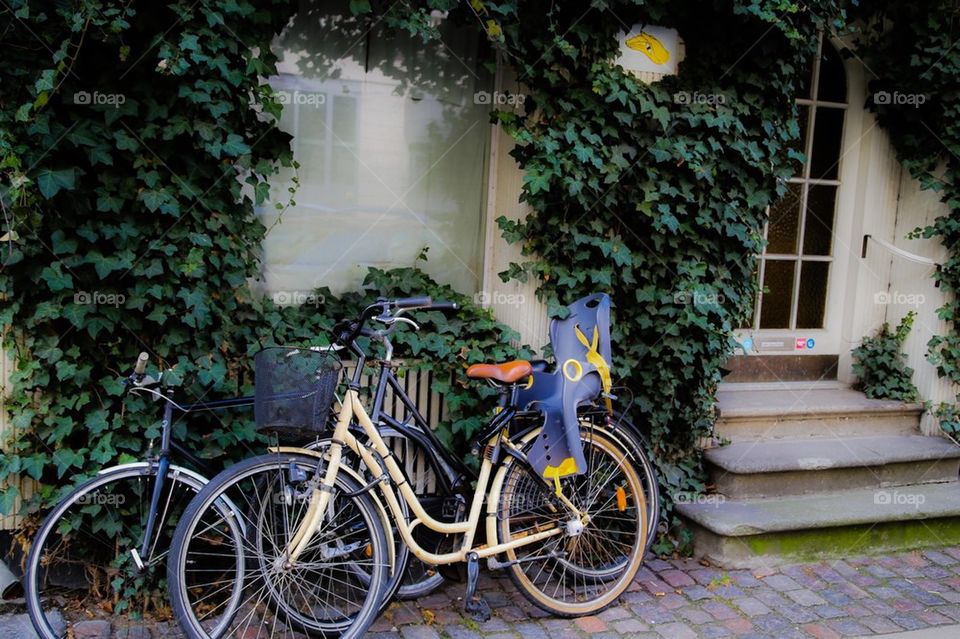 Biking in Denmark 