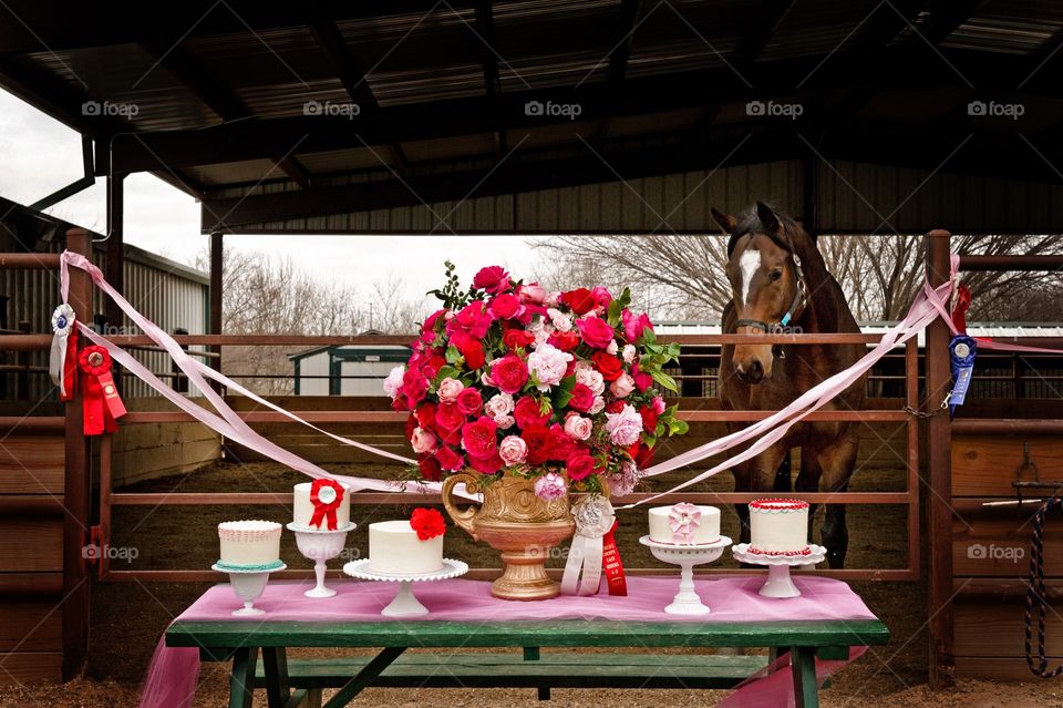 Wedding cakes by horse stall
