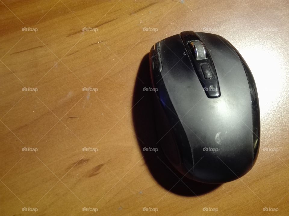 Mouse, No Person, Technology, Computer, One