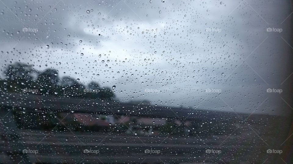 a wet and windy day. through my window pane