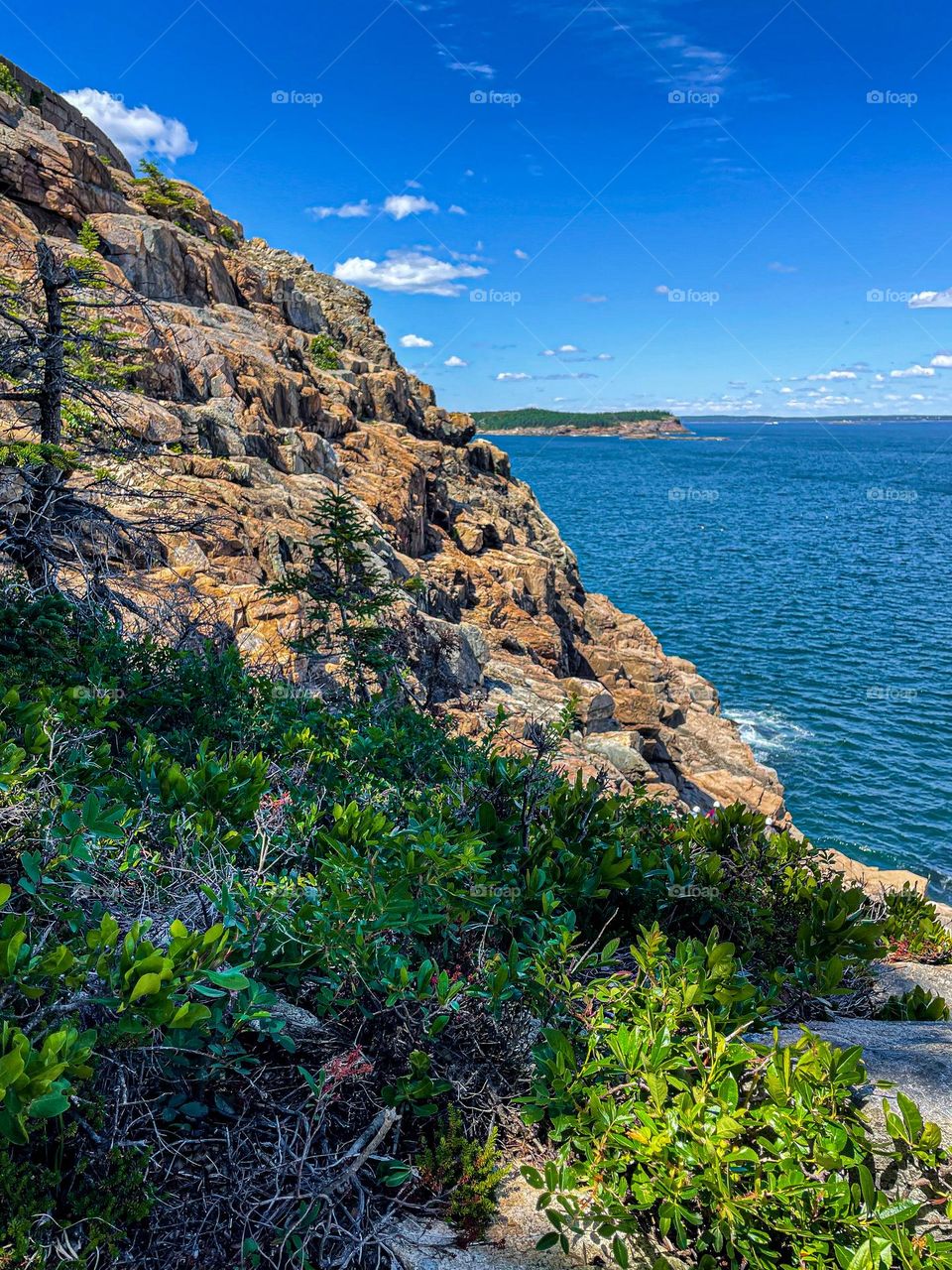 “Otter Cliffs.” Sunlight kisses the rocky cliffs creating a myriad of colors at Acadia National Park. These cliffs are popular with climbers and has a painterly-like quality to the landscape.