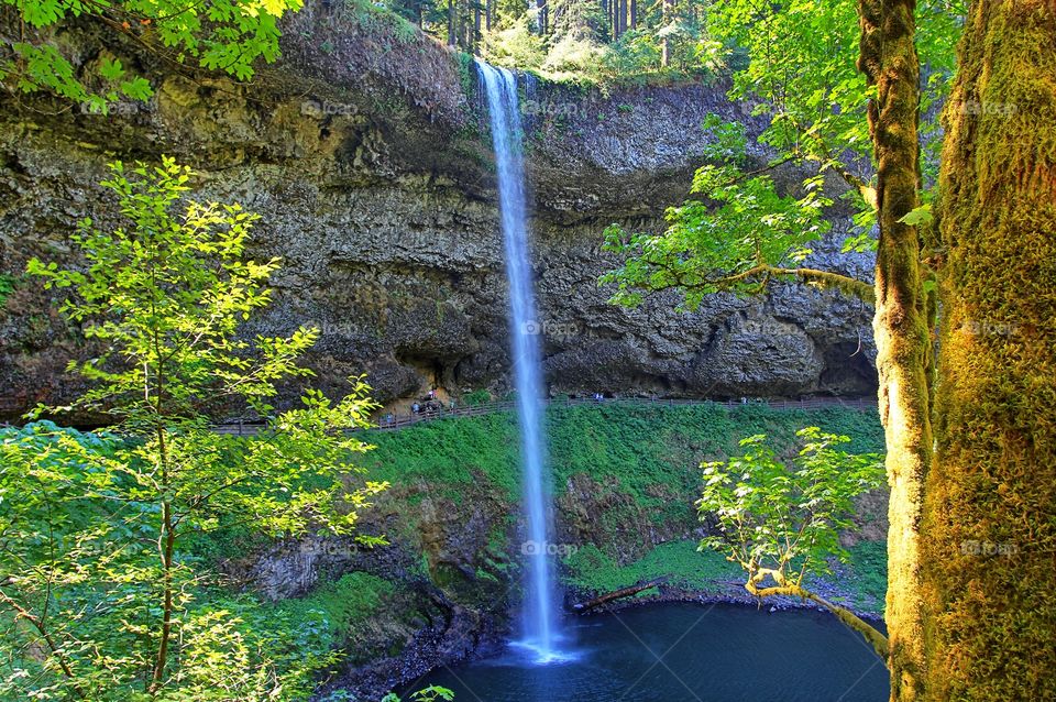 Silver Falls State Park