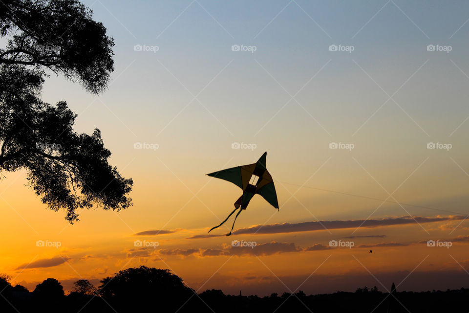 Silhouette of a kite in the sky