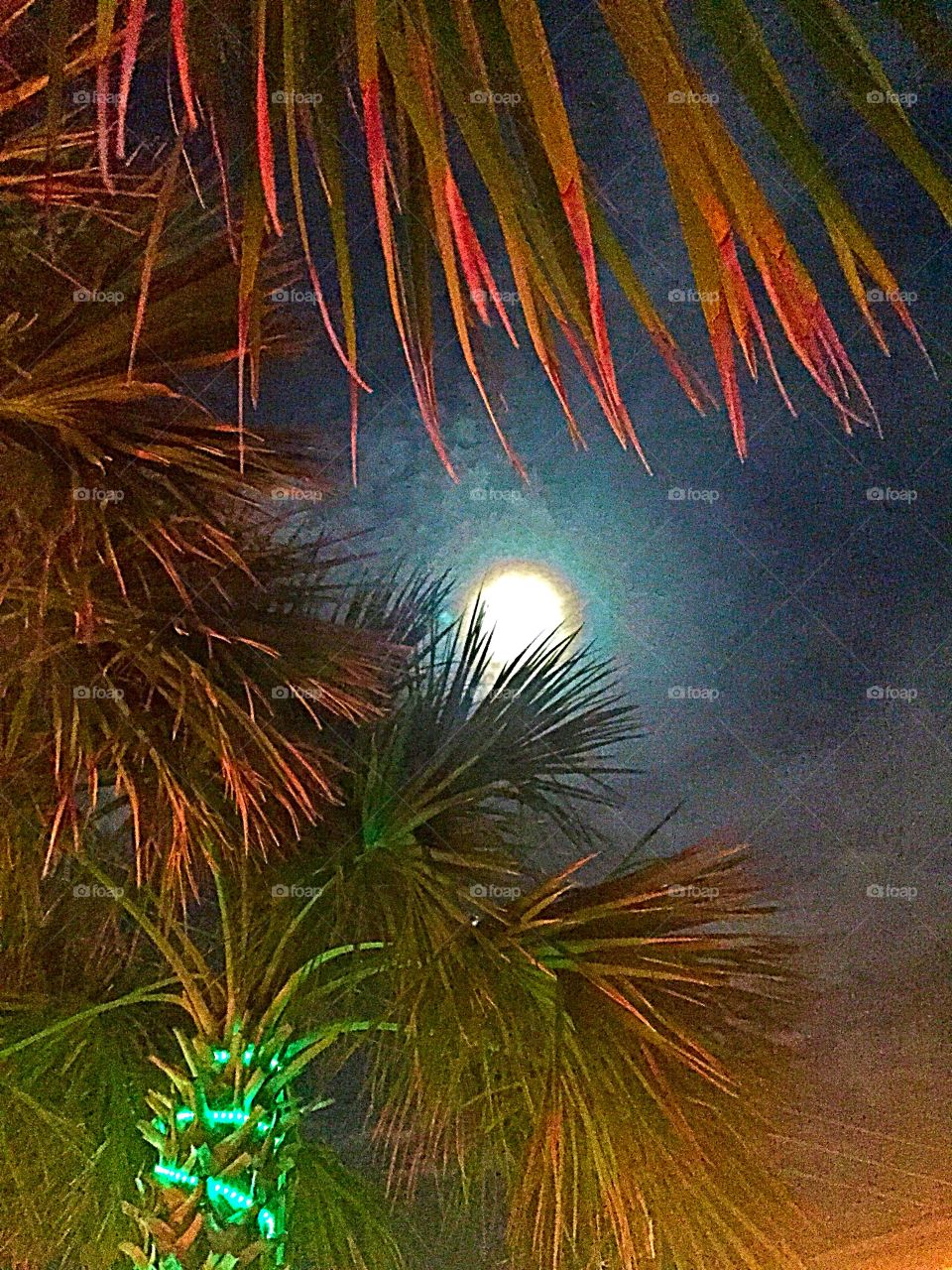 Beach Moonlight. Carolina Beach night out