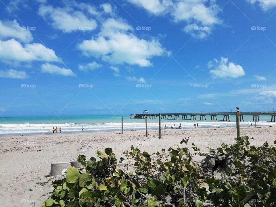 Tropical Beach View with Ocean + Pier + Sand in Deerfield Beach Florida
