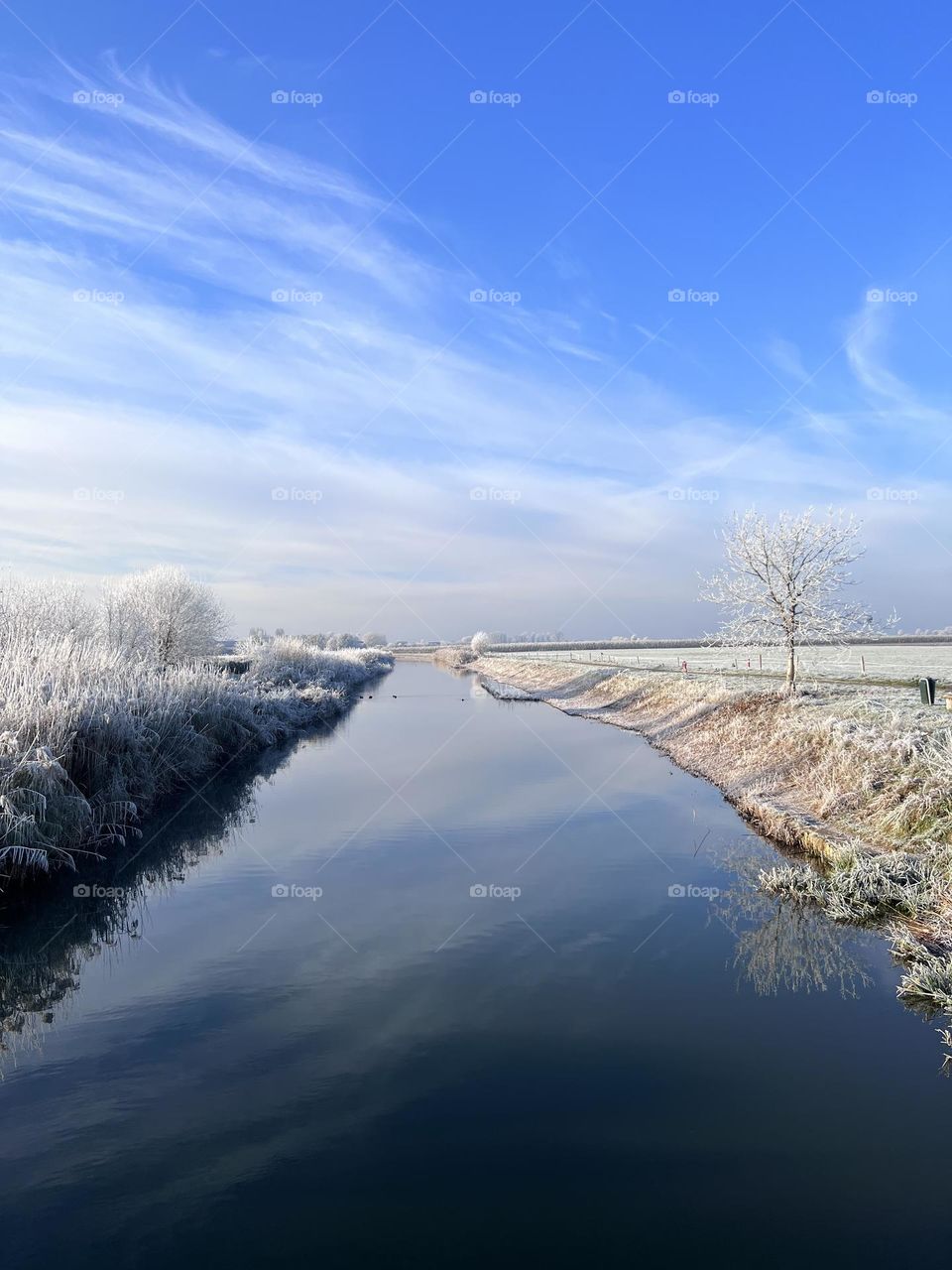 Winter landscape