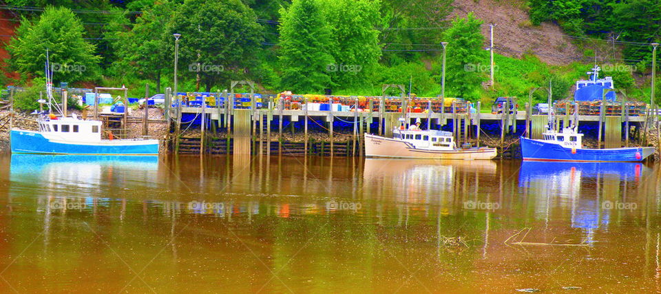 Stranded at low tide