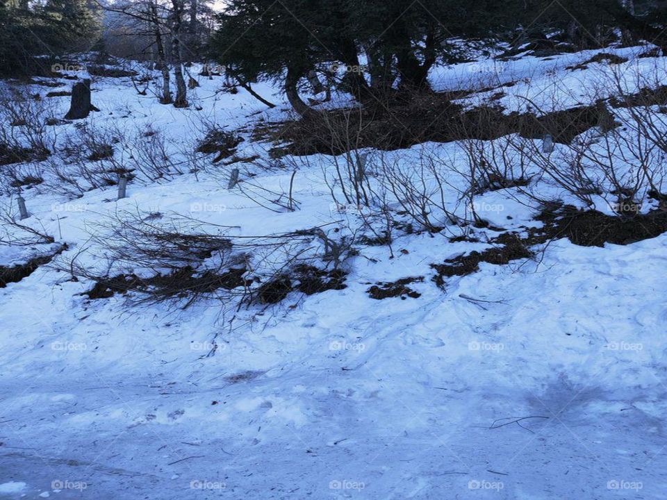 At this season of the year, darkness is a more insistent thing than cold. The days are short as any dream