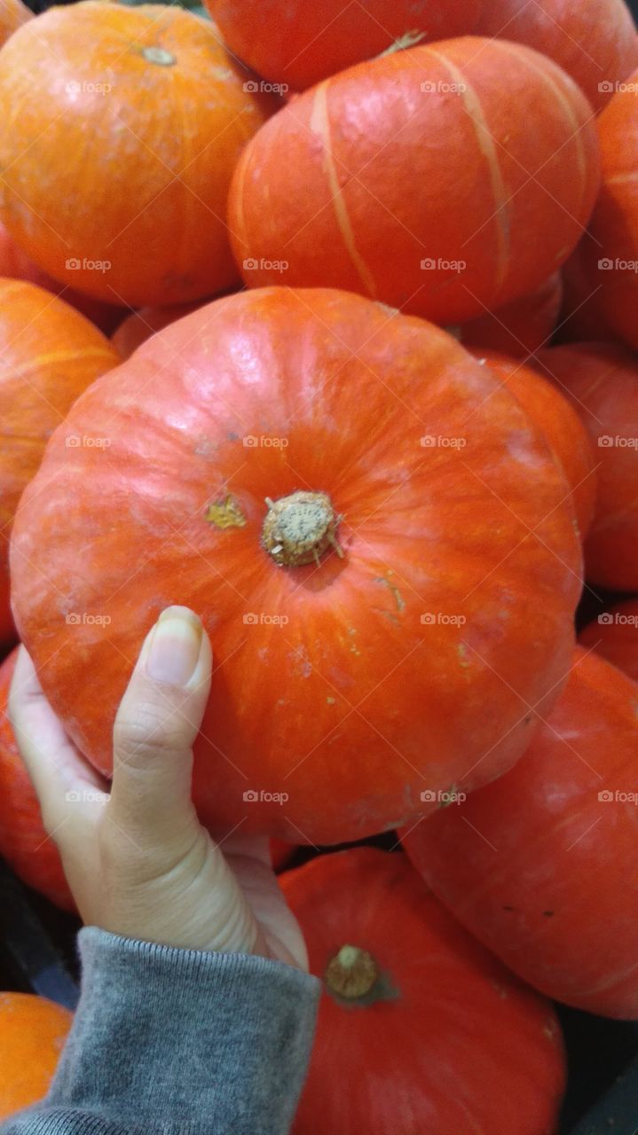 pumpkins for Halloween