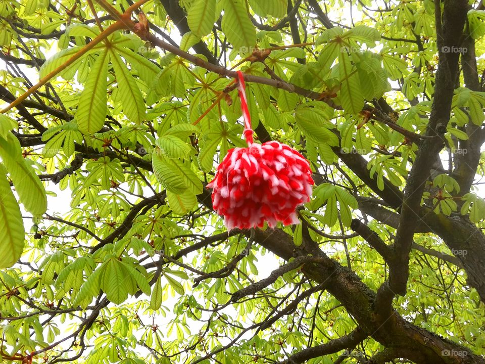 chestnut tree with red wool decoration