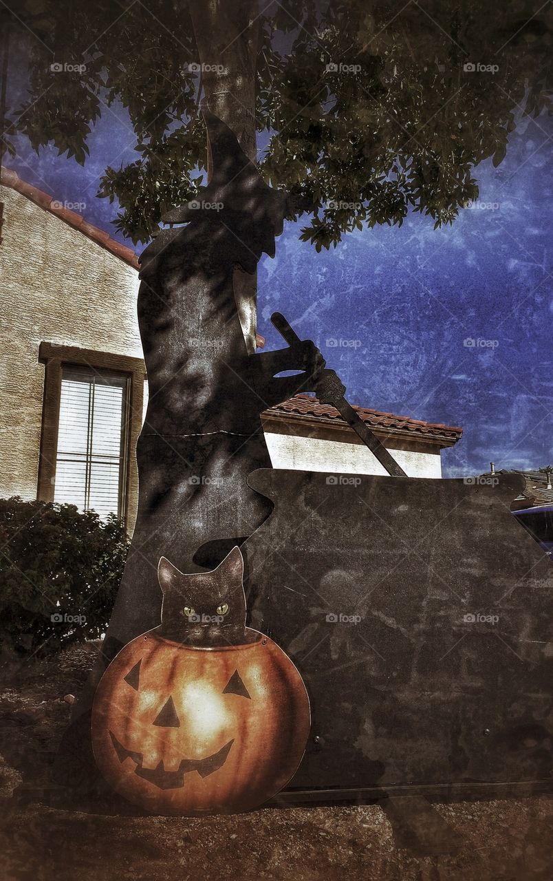 Coming to get you my pretty