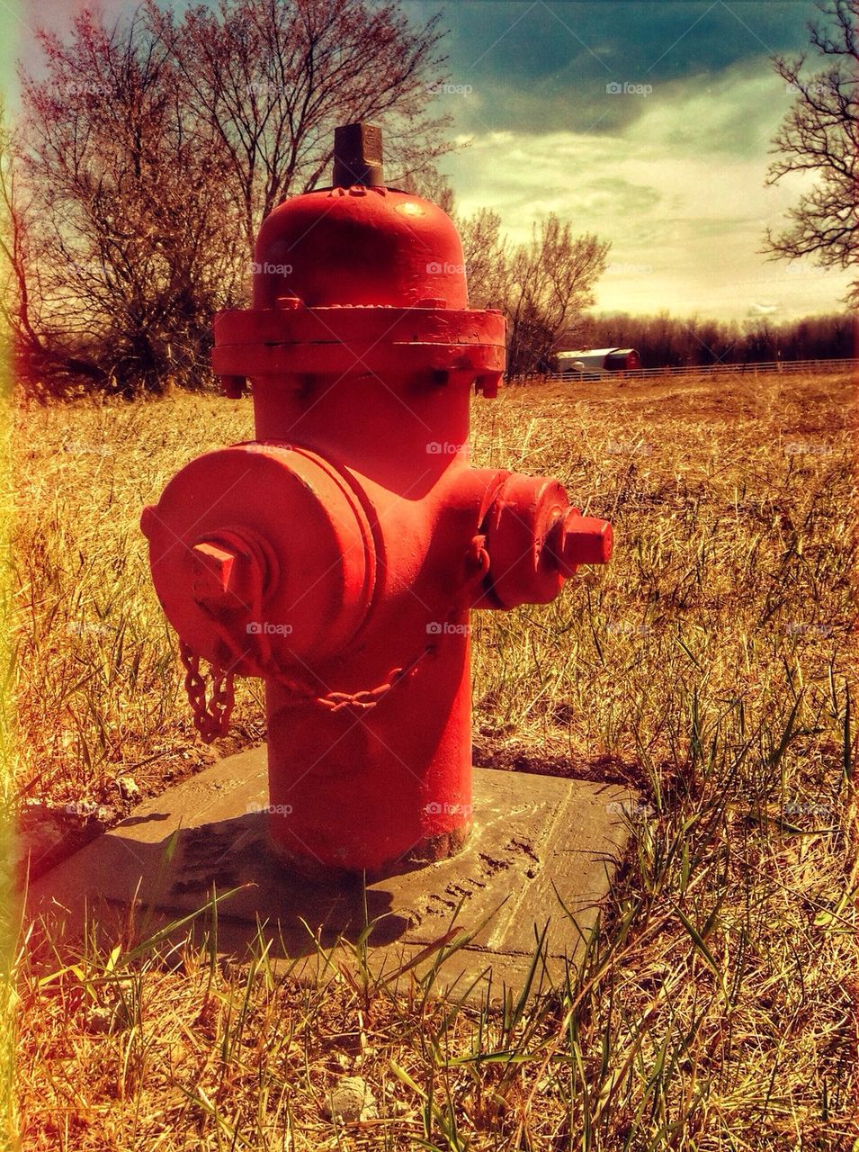 Geppetto's Hydrant