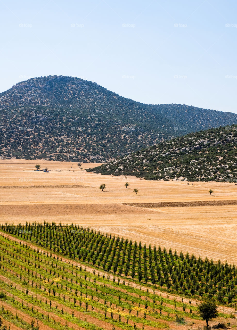 Land and Mountains in summer