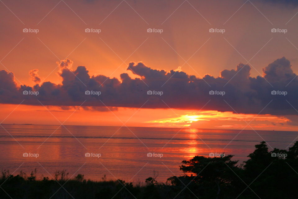 Over the Bay ( Series )