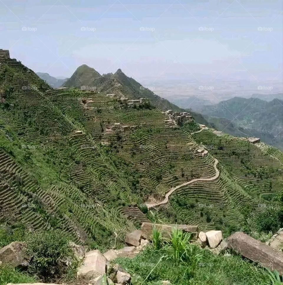 A very beautiful picture, and there is no better picture than it. There is no better picture of green herbs and colorful, red and white roses than it. Glory be to God, the natural and picturesque view, and there is no more