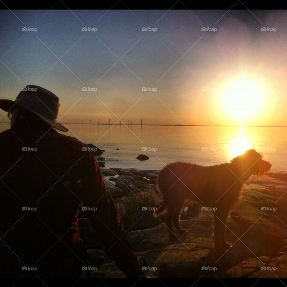 sunset dog lake vänern by calleg