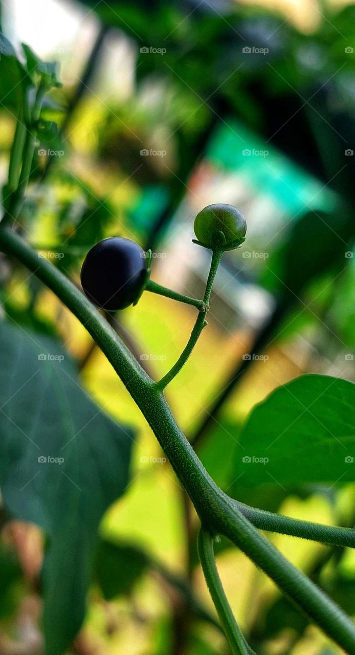 Standing in the Dark