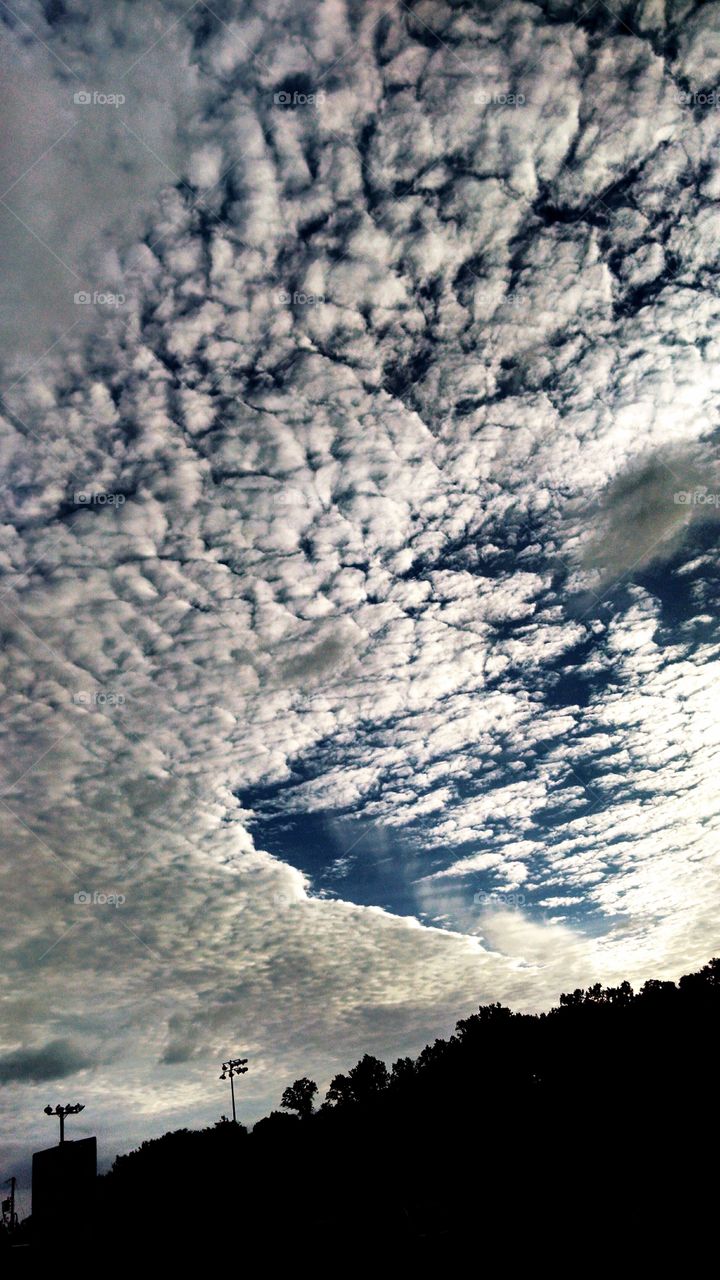 blue sky. I took this pic in New Jersey in September 2015