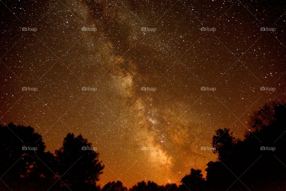 Silhouette of trees against milky way