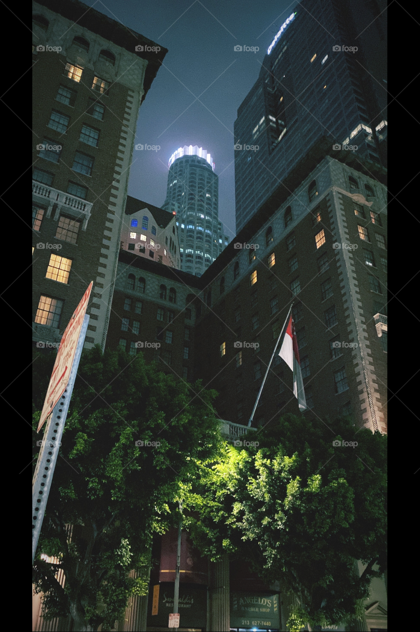 Downtown Los Angeles 