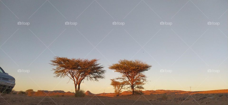 mountaine and sun set in desert