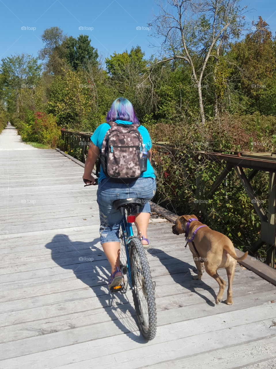 biking with the dog