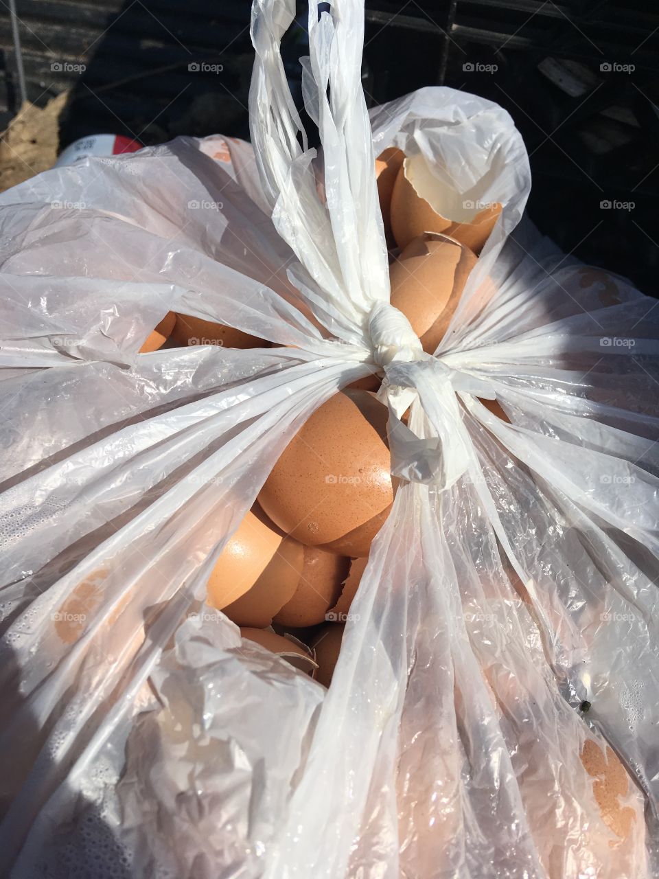 Chicken eggs for my gardens, three bags full! Wash them up and crush them up.