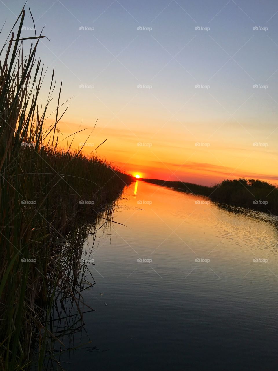 Sunset, Water, Dawn, No Person, Evening