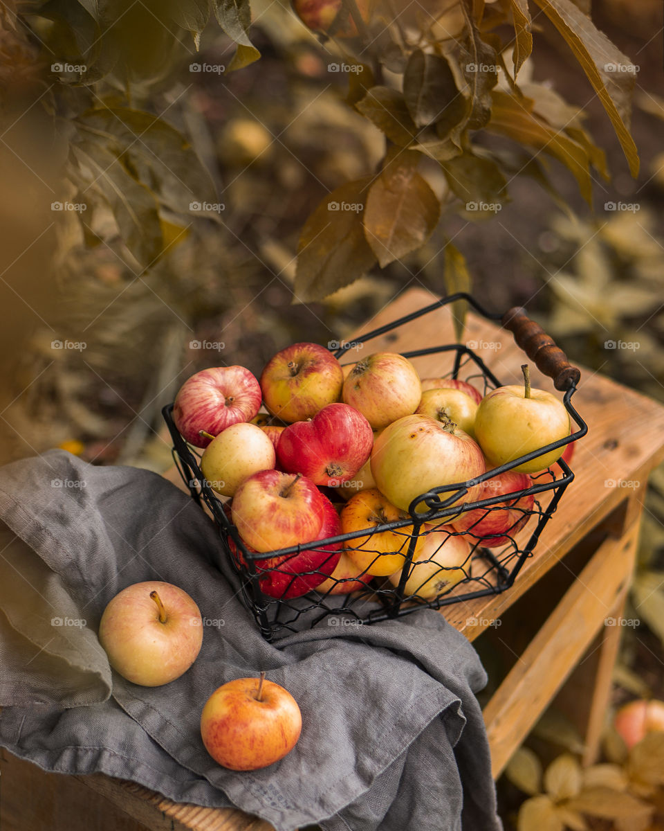 basket of fresh apples in a garden