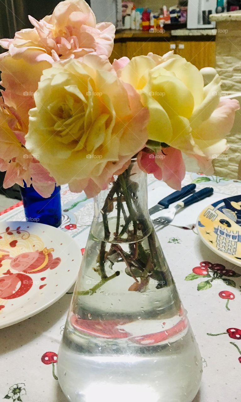 Flores muito bonitas para decorar nossa casa. Rosas delicadas num vaso improvisado!