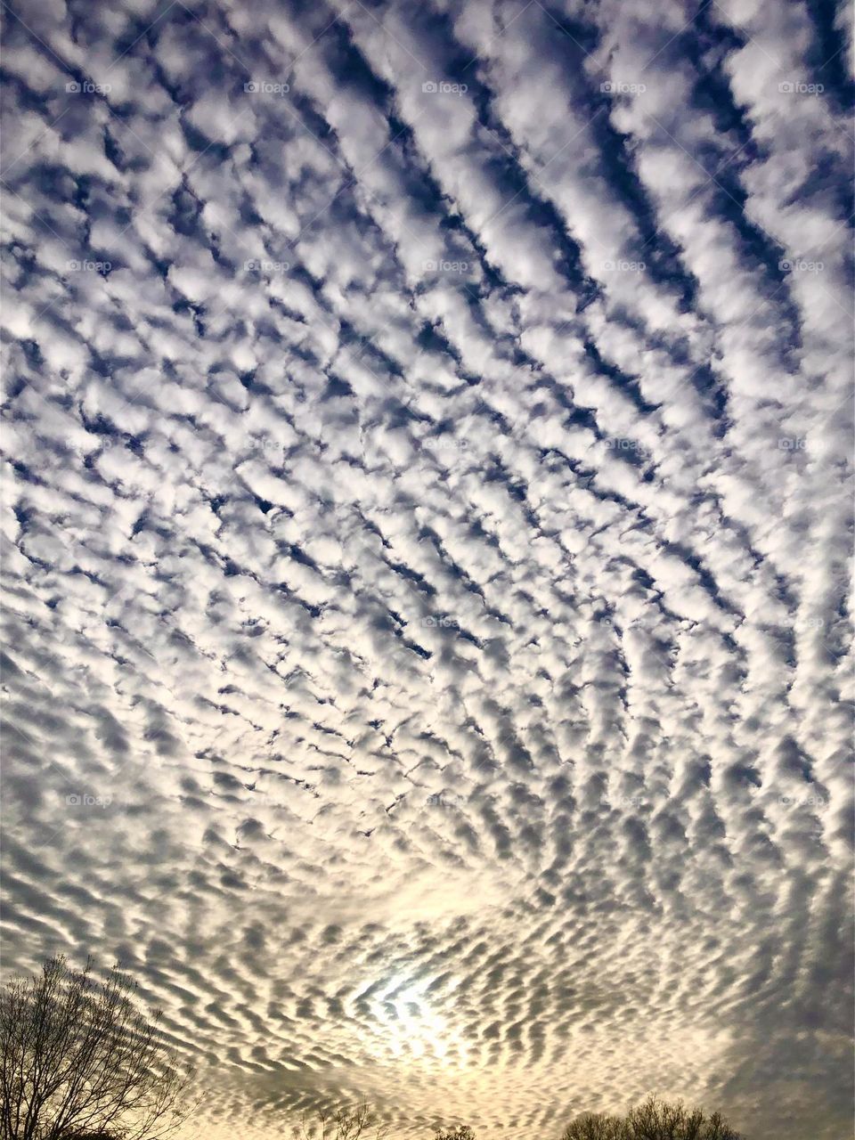 Multiverse. Clouds that look like puffy cotton balls at sunset! I was stunned at the view from my yard 🤍