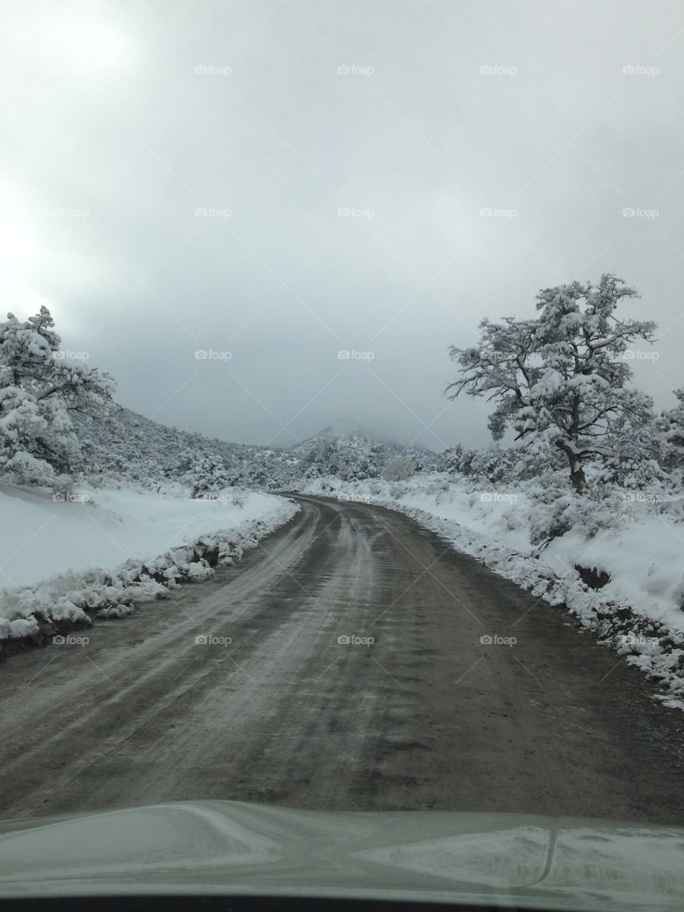 The Path. Another picture of a dirt road I drove down on a snowy day. Very scenic and beautiful. 