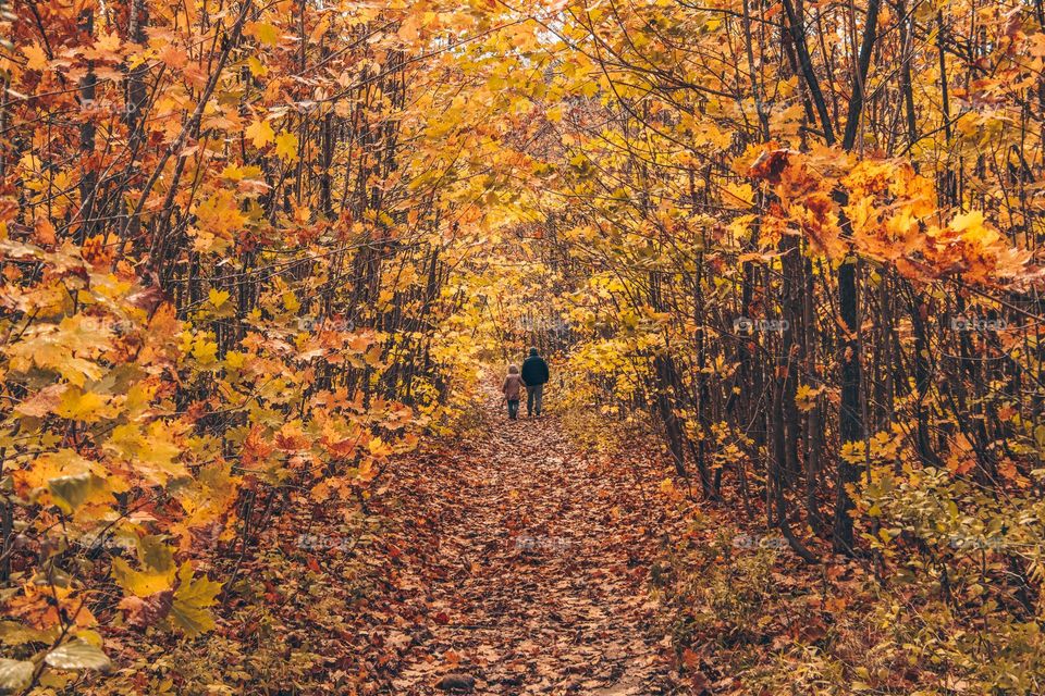 Father and a child are walking away into autumn forest