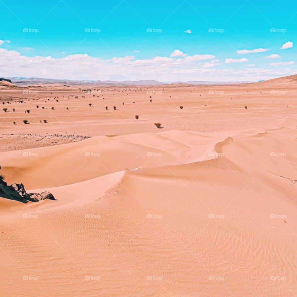 minimalist desert, beautiful landscape, nice shot