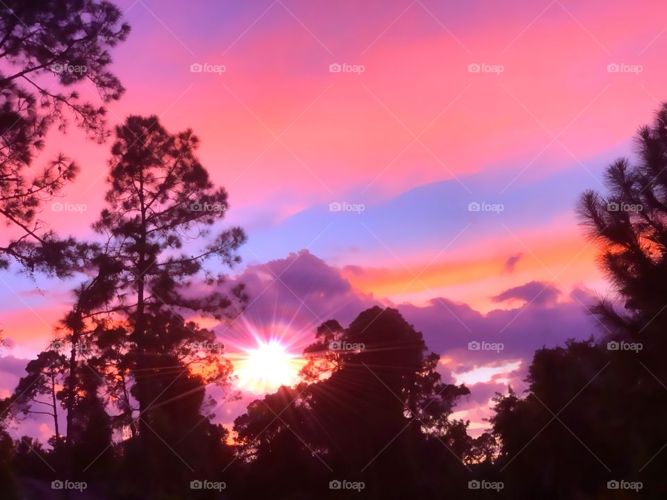 Gorgeous pink and purple sunset.