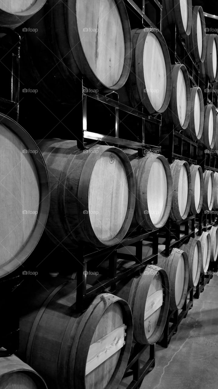 Barrel Room at Winery