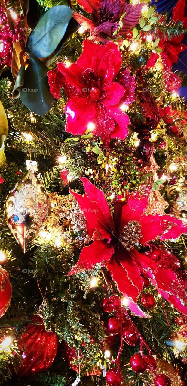 Holly  Christmas tree