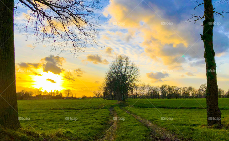 Colorful and tranquil sunrise or sunset over a scenic meadow landscape on the countryside 