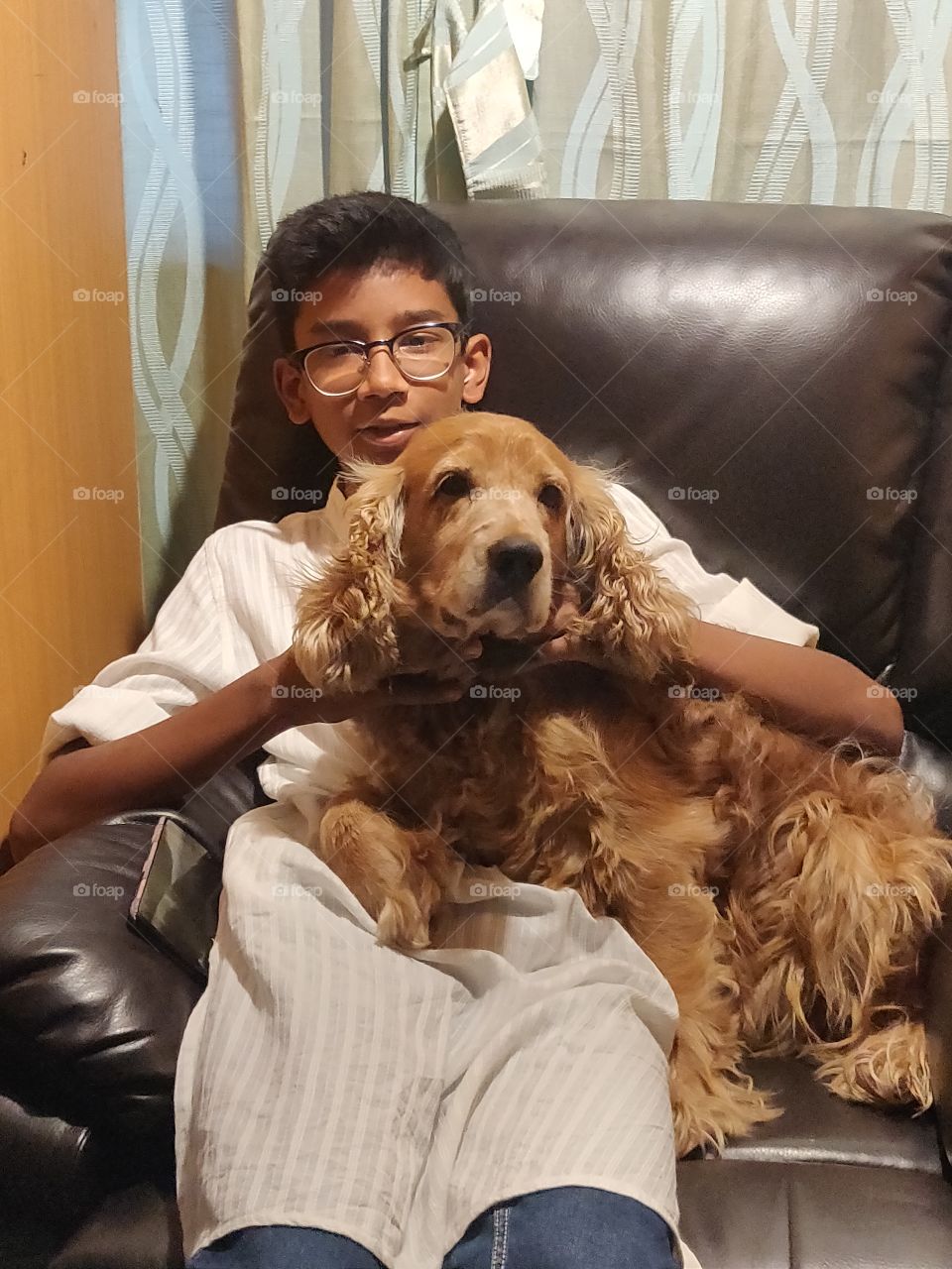 cute brown pet sitting on sofa at home with his brother 🙂