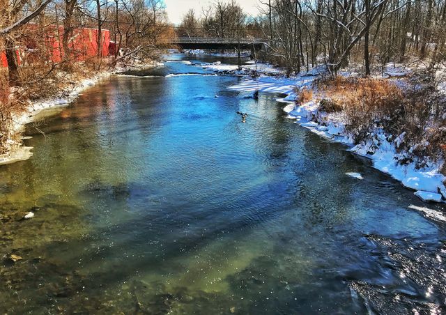 Ellicott creek