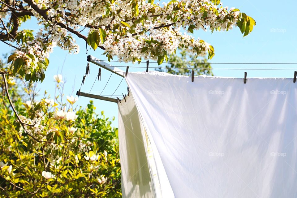 Laundry hanging on strings