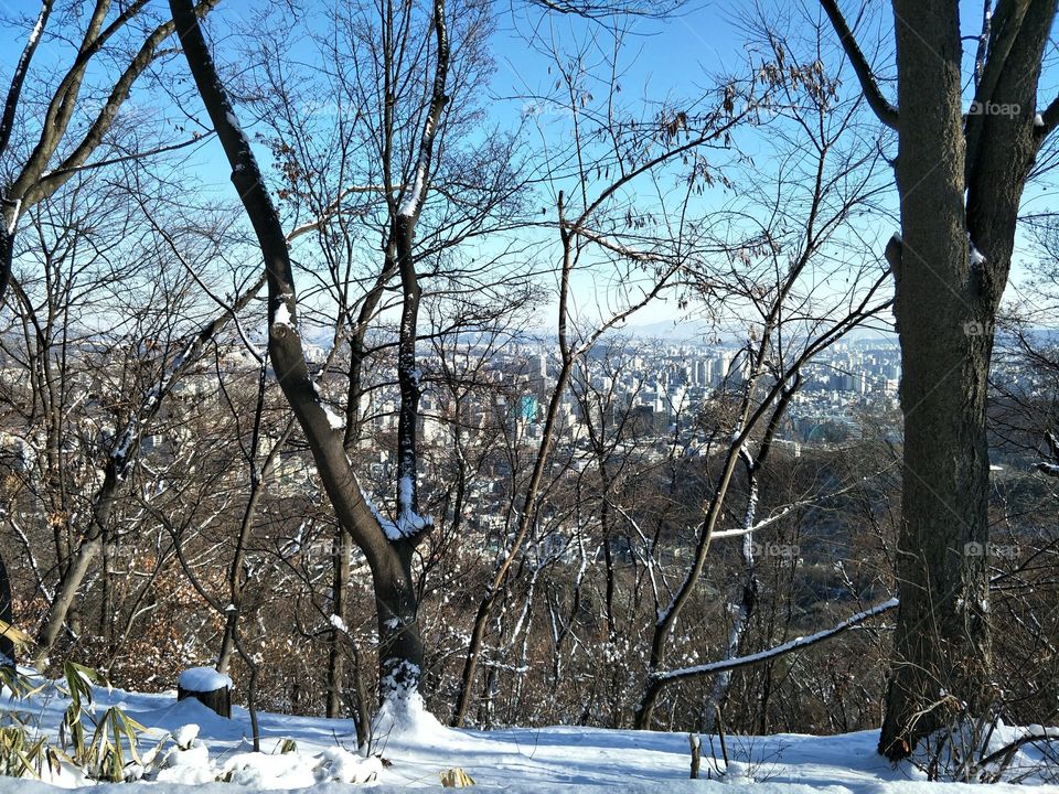 winter Seoul