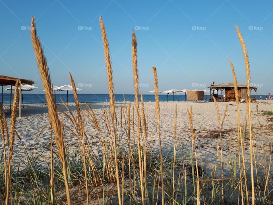 Beautiful sand beach view with spikes