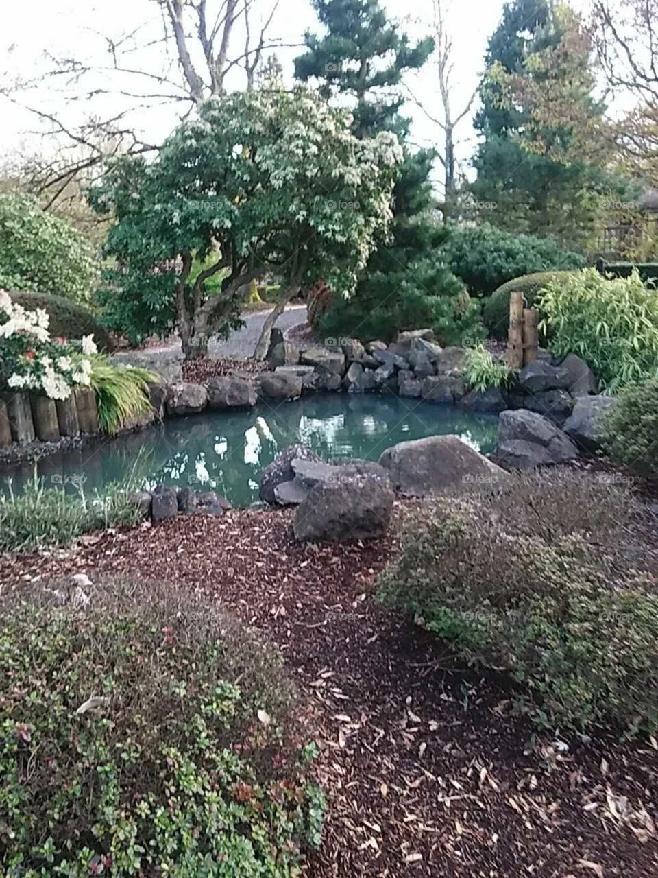 creek through the garden