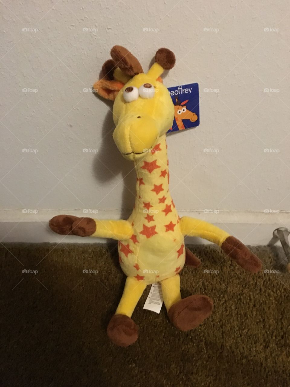 Geoffrey the Giraffe 